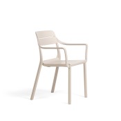 Cassia stoel